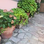 Il Senatore