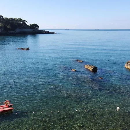 Il Senatore Otel