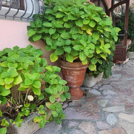 Il Senatore Otel Fiascherino