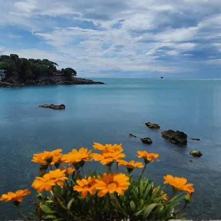 Il Senatore フィアスケリーノ