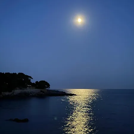 Il Senatore フィアスケリーノ