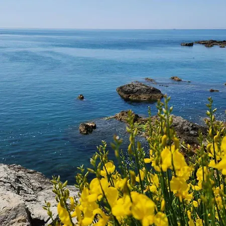 Hotell Il Senatore 3*