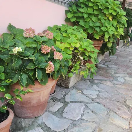 Hotel Il Senatore