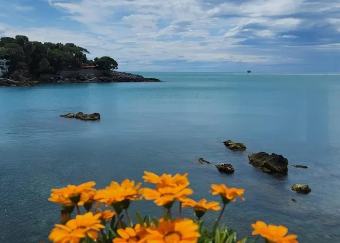 Il Senatore Fiascherino