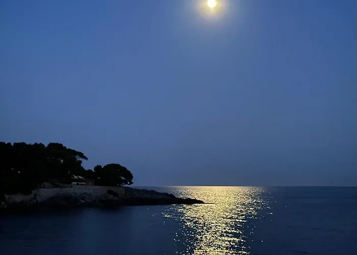 Il Senatore Fiascherino