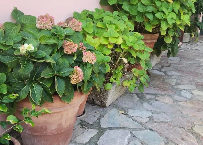 Ξενοδοχείο Il Senatore